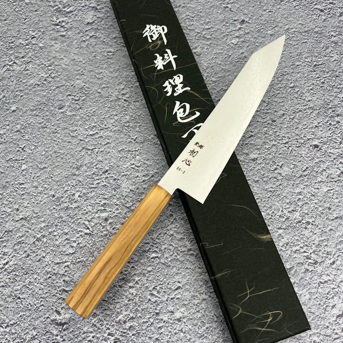 Kiritsuke Gyuto 210mm (8.2")